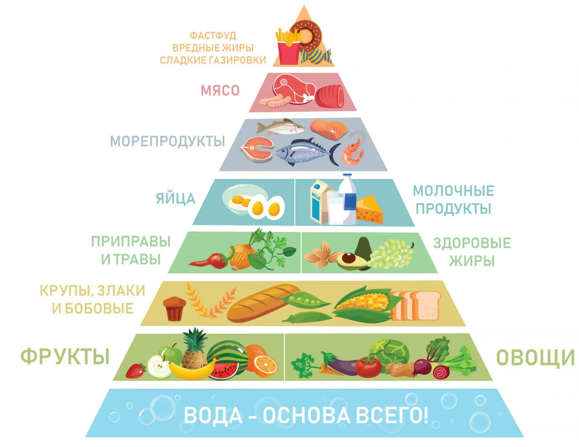 Основа пищевой пирамиды